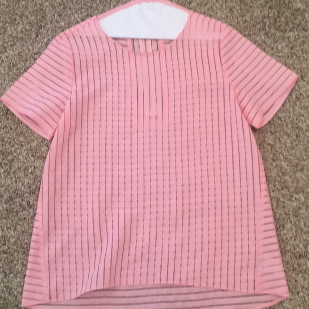 J crew sheer pink top